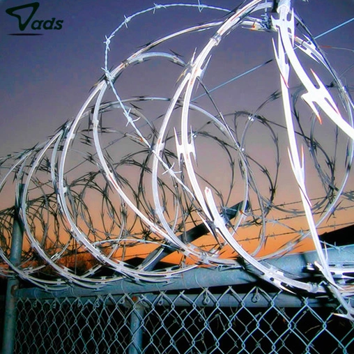 razor wire fence