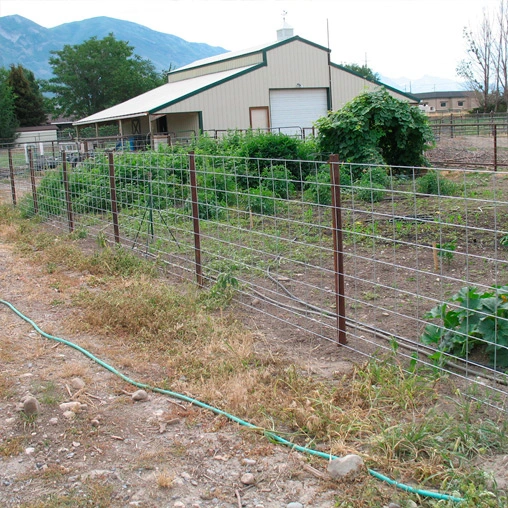 weldmesh fencing suppliers