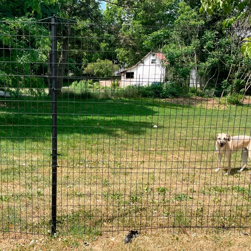 welded fencing mesh