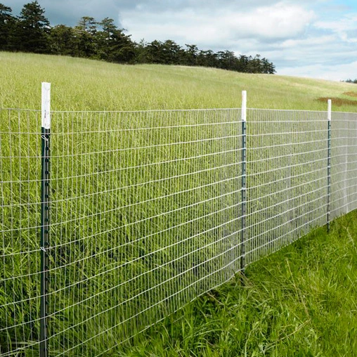 welded wire mesh fencing