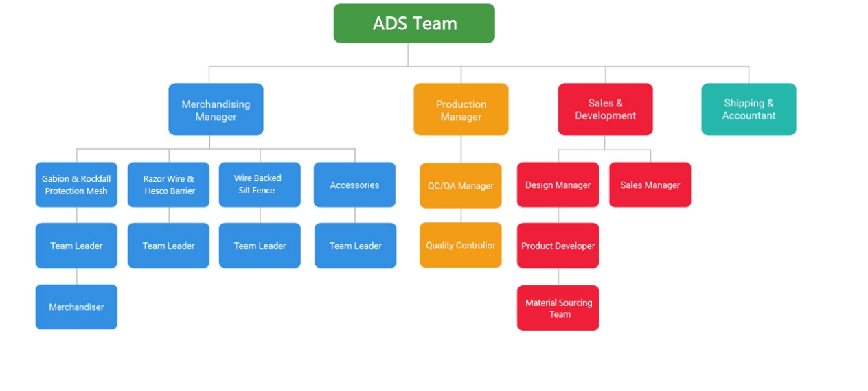 Company Structure