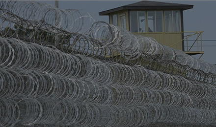 Prison Fencing: Ensuring Secure Incarceration with Razor Wire