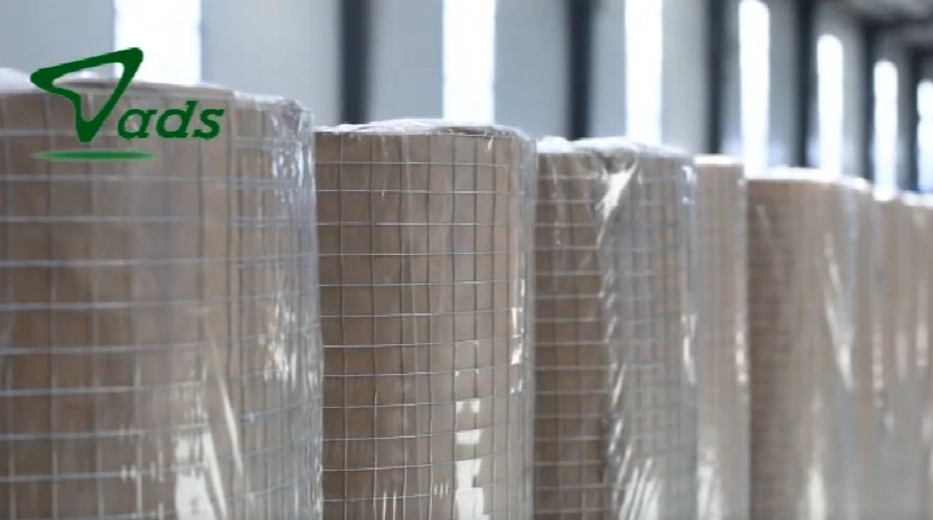 Welded Wire Mesh