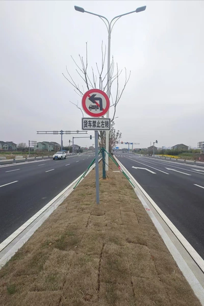 street lights in hangzhou bay new area zhejiang province