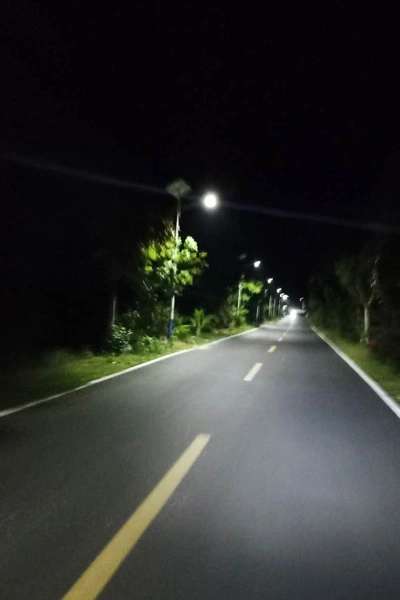 hainan solar street light 5