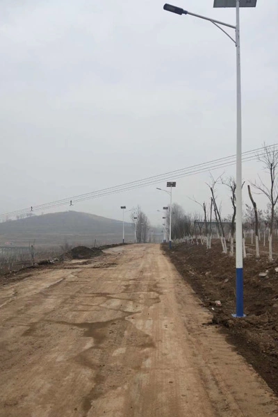 henan solar street light 2