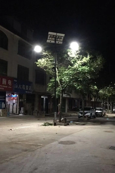 jiangxi solar street light 1