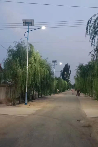 neimenggu solar street light 1