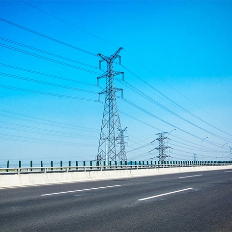 (Binhai - Grid 10-57) Lingang 3 # 220kV Transmission and Substation Project