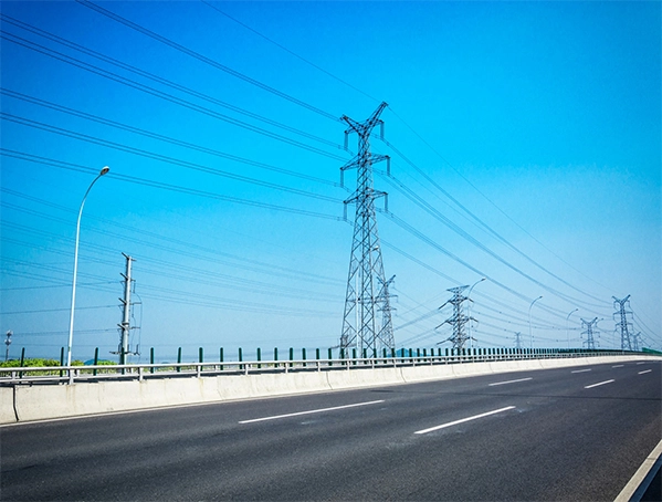 (Binhai - Grid 10-57) Lingang 3 # 220kV Transmission and Substation Project