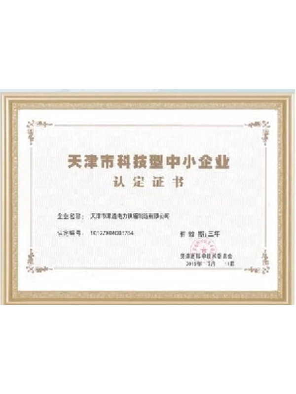 Tianjin Science And Technology Based Small And Medium Sized Enterprises Recognition Certificate