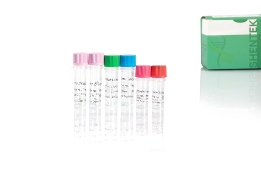 Mycoplasma DNA Detection Kit (2G)