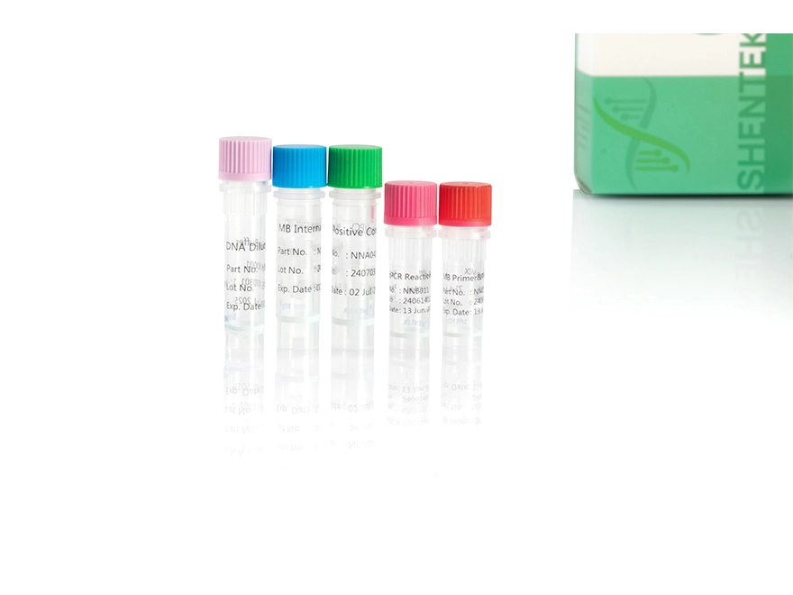 Mycobacteria DNA Detection Kit