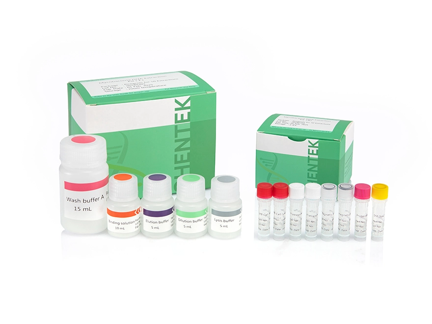 Mycobacteria DNA Extraction Kit