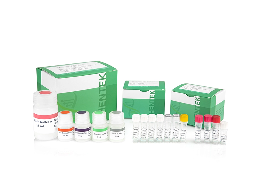 Mycoplasma DNA Extraction Kit (2G)