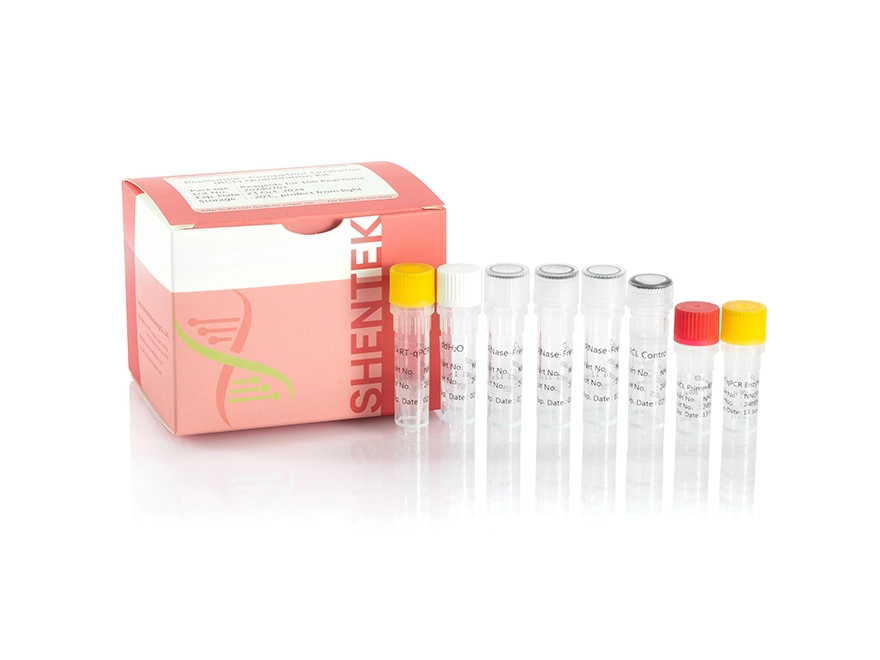 Replication-Competent Lentivirus (RCL) Quantitation Kit