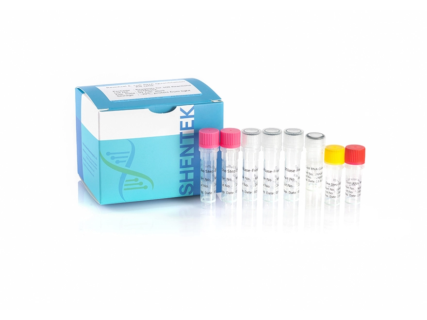 Residual E.coli RNA Quantitation Kit (2G)