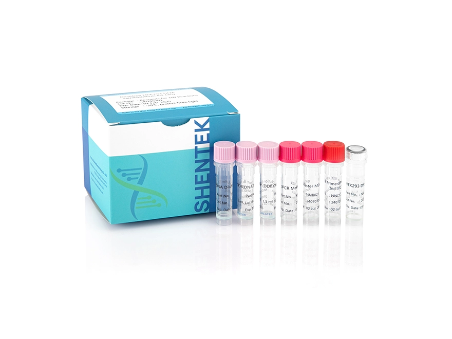 Residual HEK293 DNA Quantitation Kit (3G)