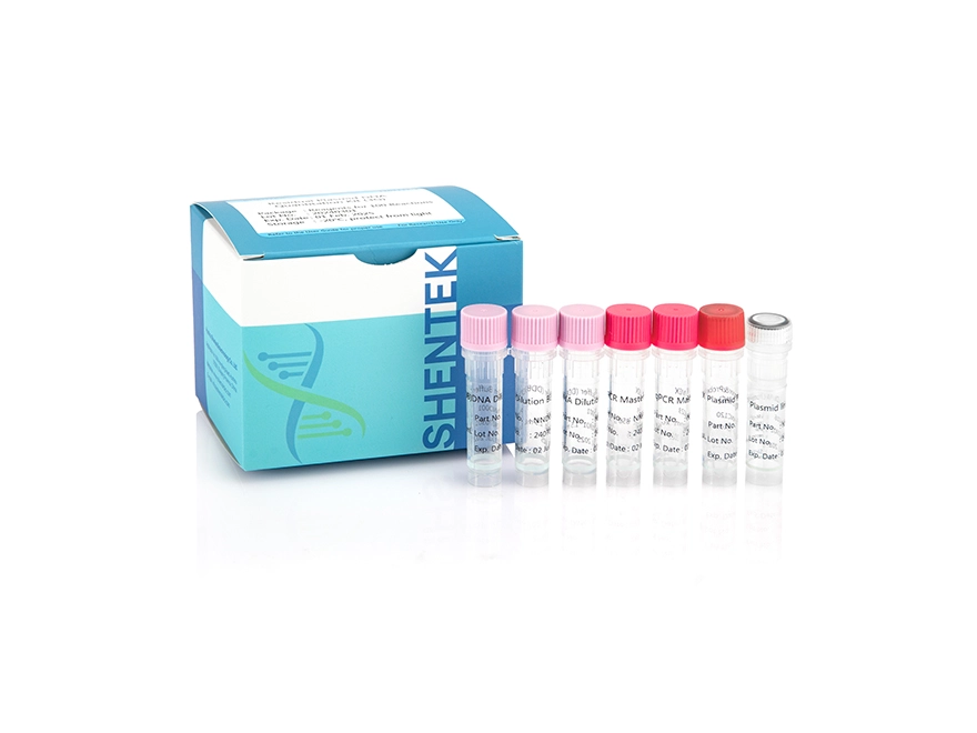 Residual Plasmid DNA Quantitation Kit (3G)