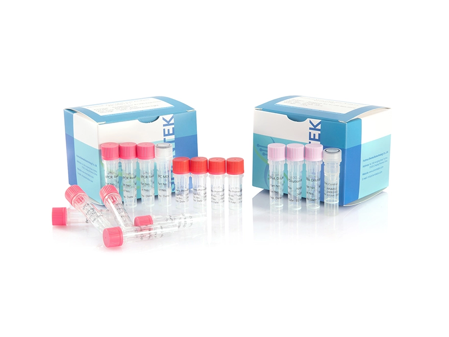 Residual Vero DNA Size Analysis Kit (2G)