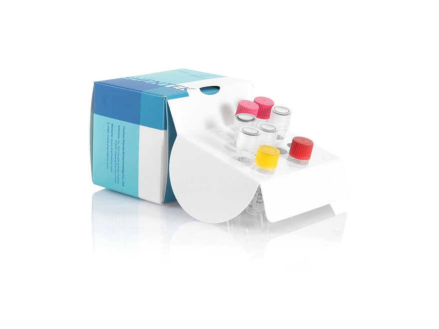 Residual 293T RNA Quantitation Kit