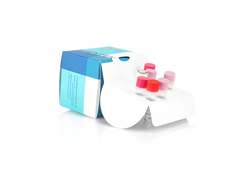 Reverse Transcriptase Assay kit